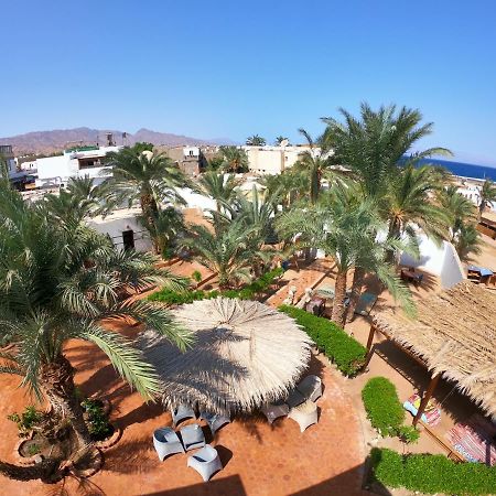 Miramar Camp Dahab Ξενοδοχείο Εξωτερικό φωτογραφία