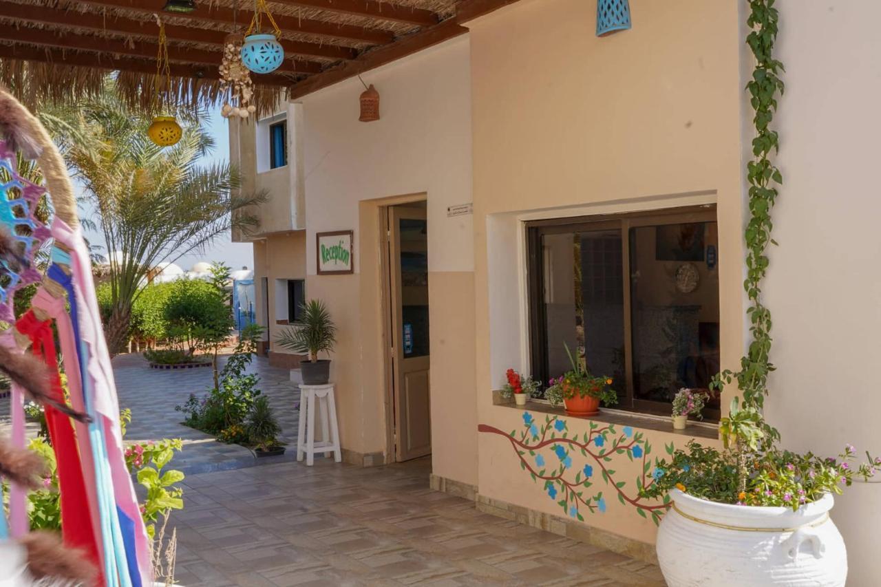 Miramar Camp Dahab Ξενοδοχείο Εξωτερικό φωτογραφία