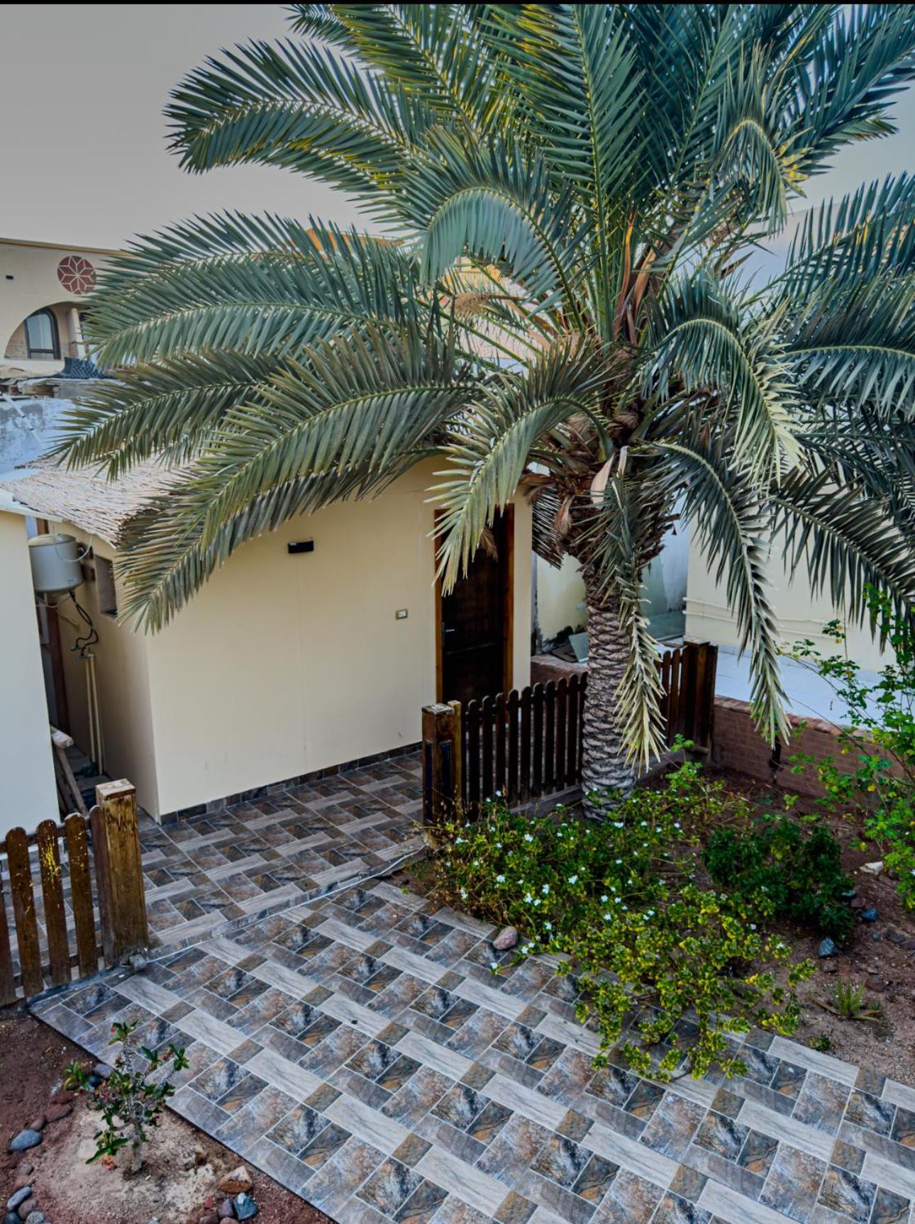 Miramar Camp Dahab Ξενοδοχείο Εξωτερικό φωτογραφία
