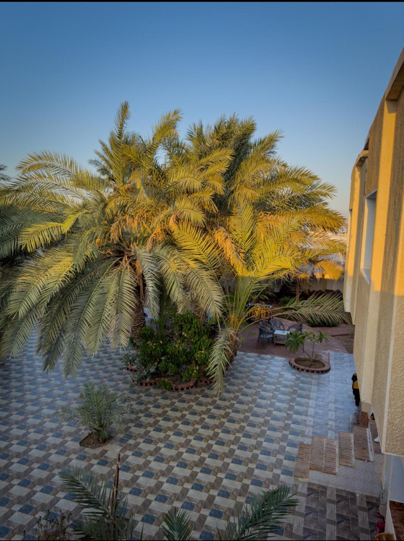 Miramar Camp Dahab Ξενοδοχείο Εξωτερικό φωτογραφία