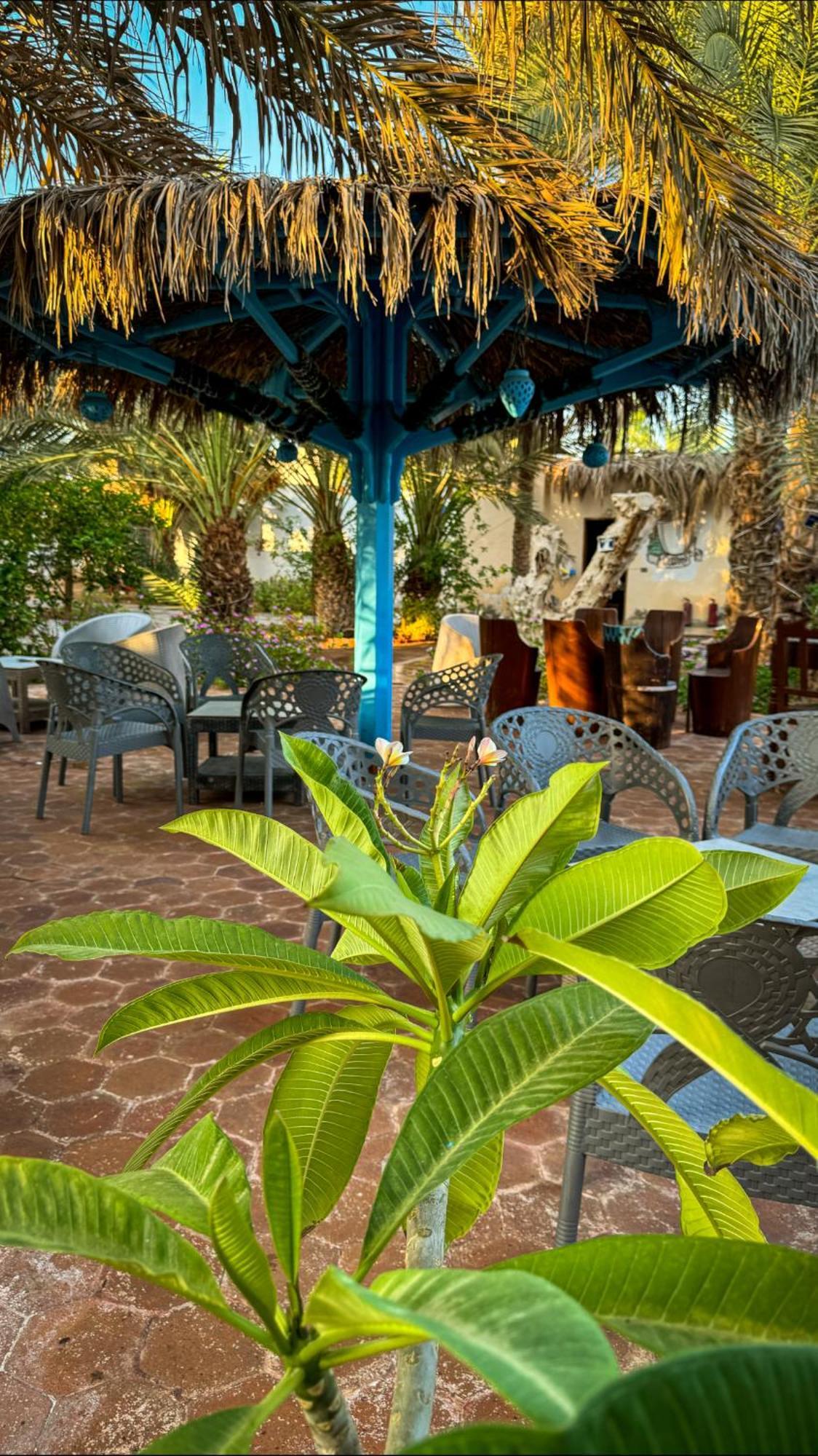 Miramar Camp Dahab Ξενοδοχείο Εξωτερικό φωτογραφία