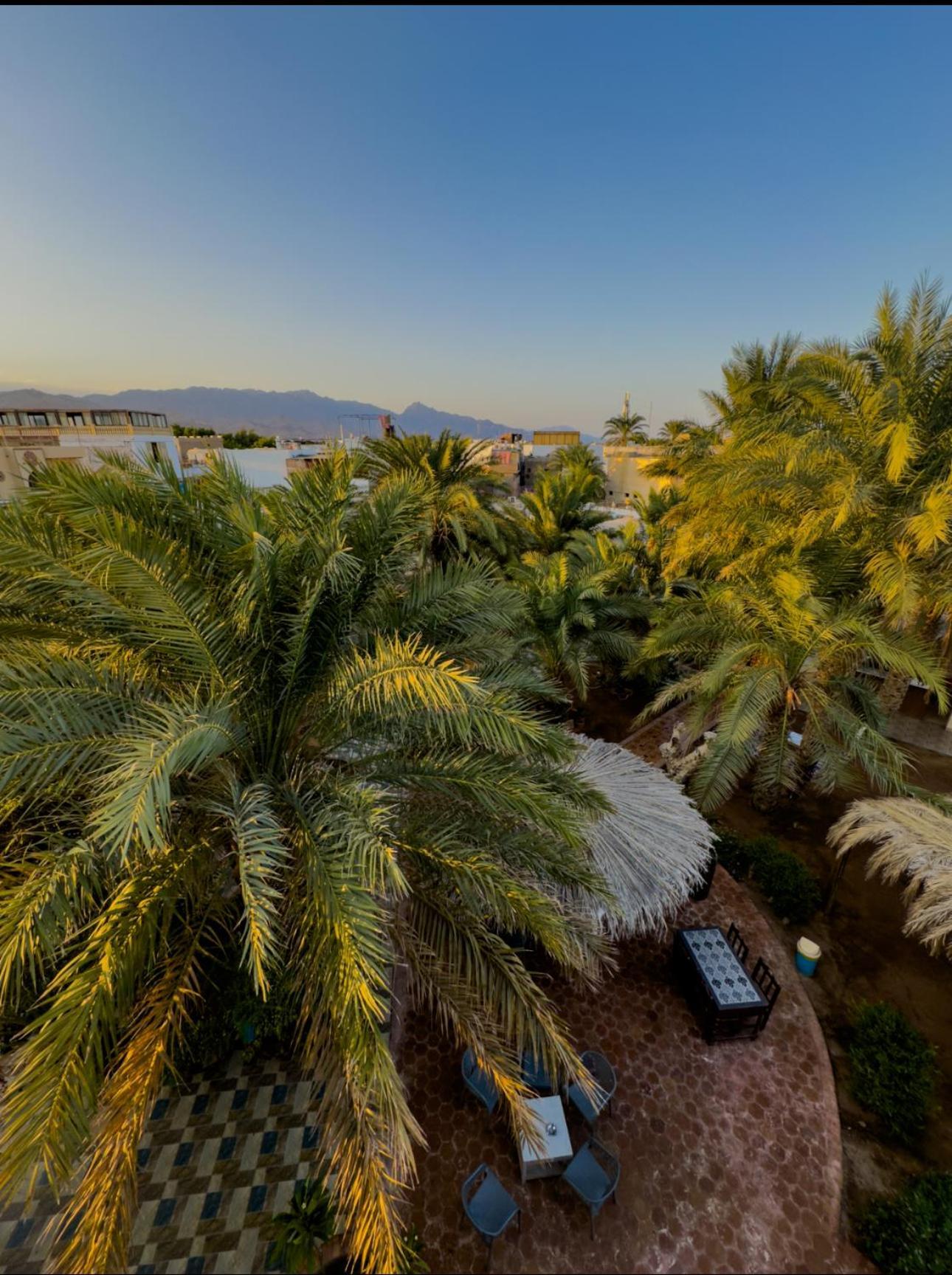 Miramar Camp Dahab Ξενοδοχείο Εξωτερικό φωτογραφία