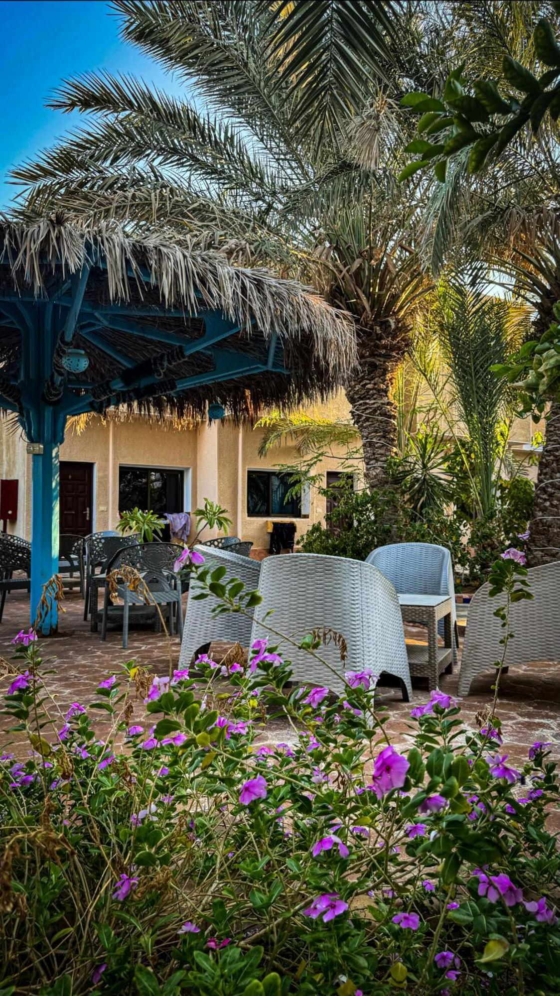 Miramar Camp Dahab Ξενοδοχείο Εξωτερικό φωτογραφία