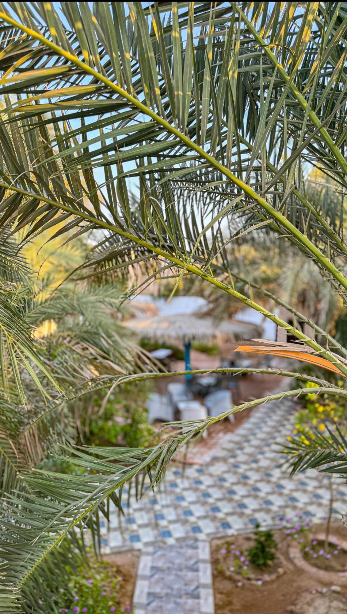Miramar Camp Dahab Ξενοδοχείο Εξωτερικό φωτογραφία