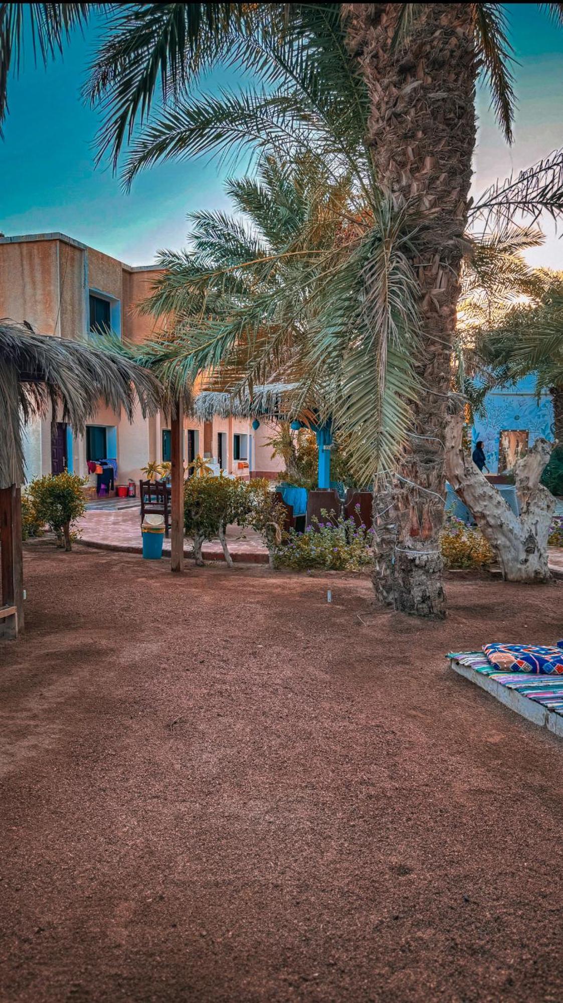 Miramar Camp Dahab Ξενοδοχείο Εξωτερικό φωτογραφία