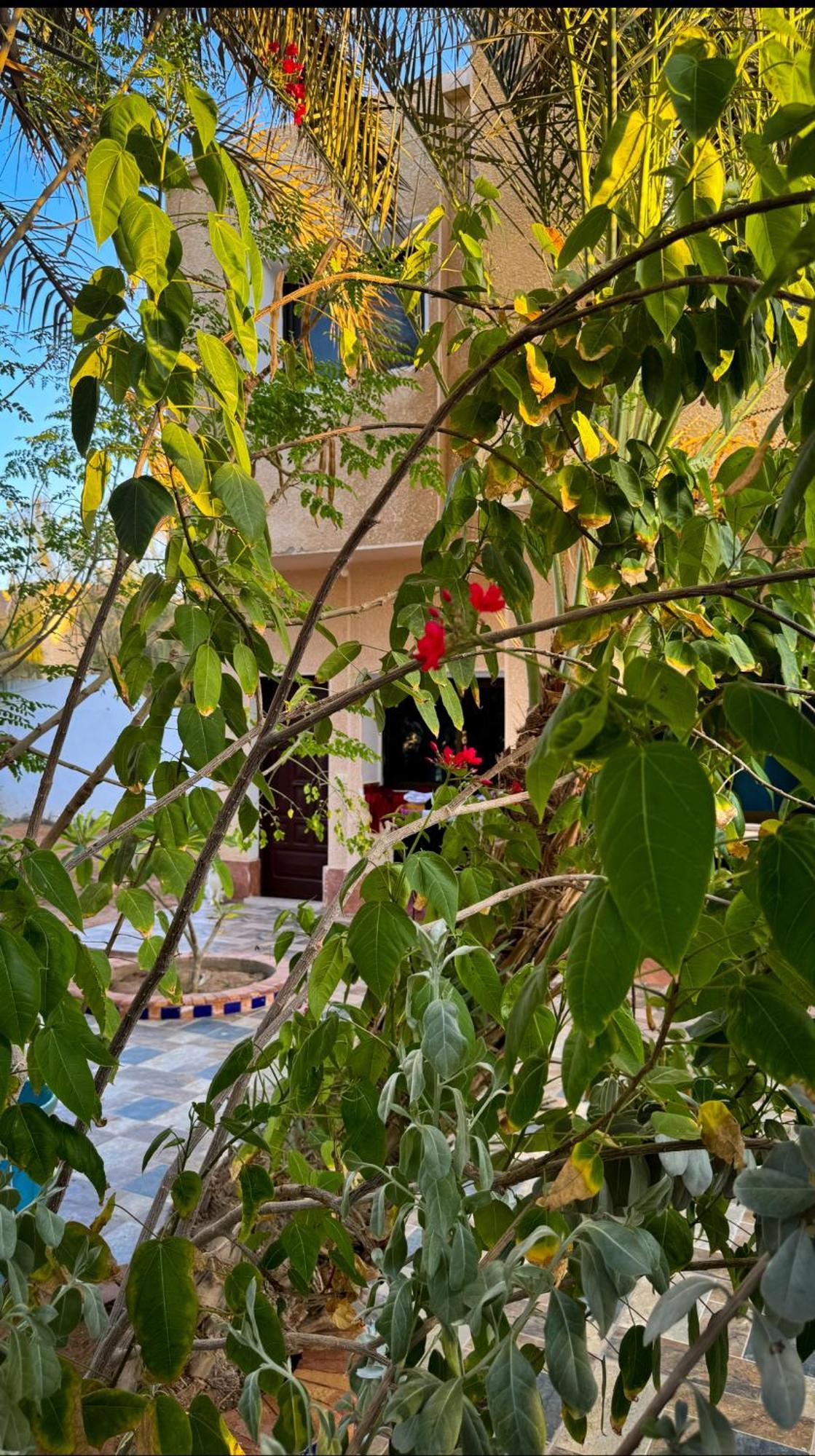 Miramar Camp Dahab Ξενοδοχείο Εξωτερικό φωτογραφία