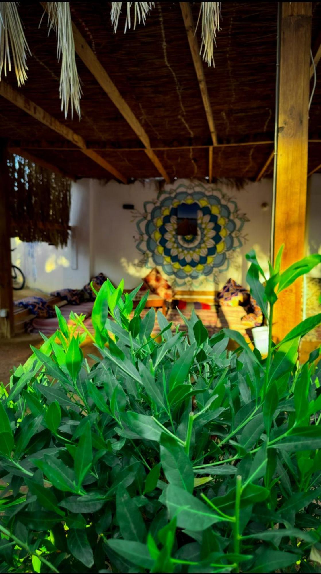 Miramar Camp Dahab Ξενοδοχείο Εξωτερικό φωτογραφία