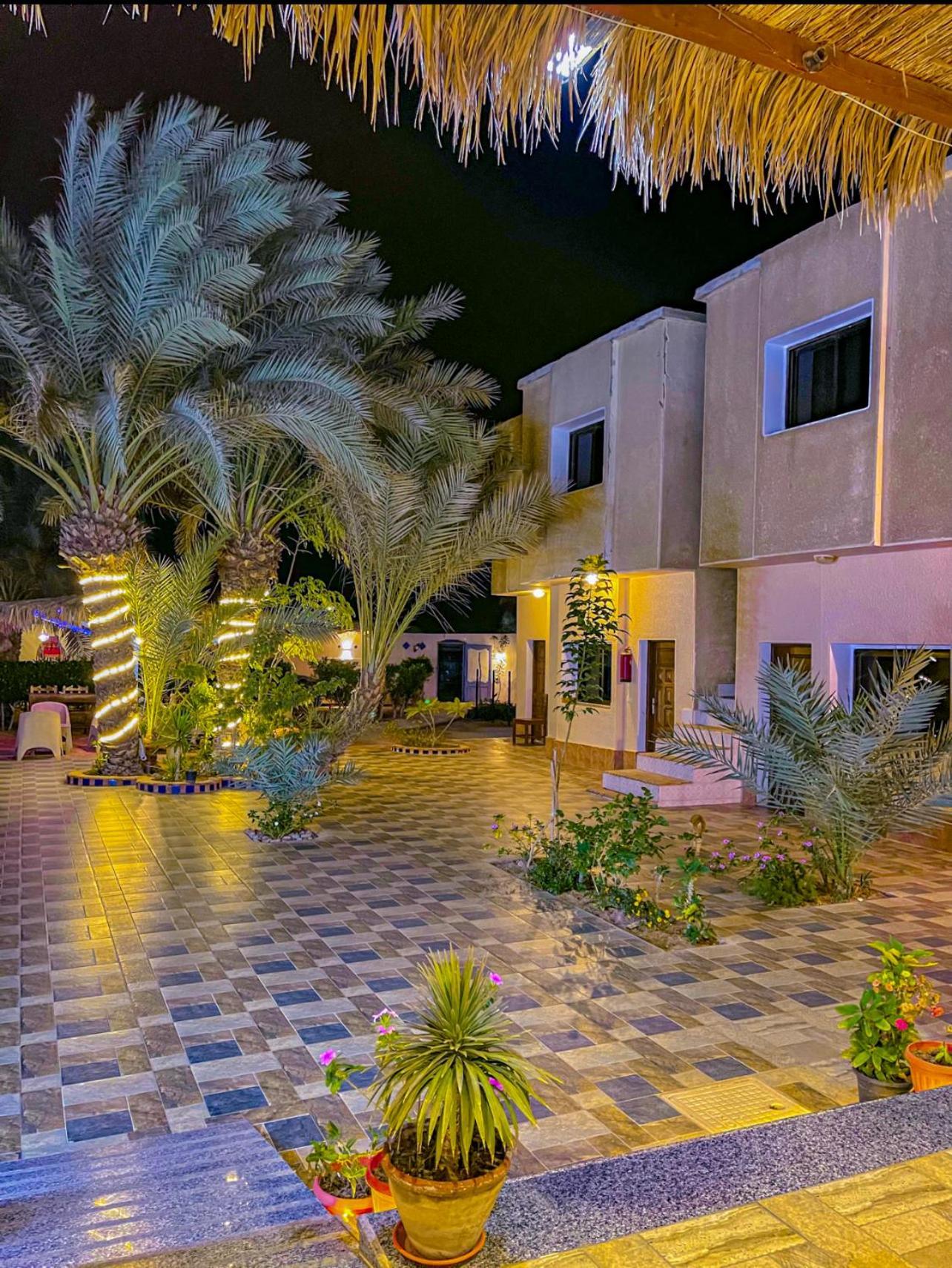 Miramar Camp Dahab Ξενοδοχείο Εξωτερικό φωτογραφία