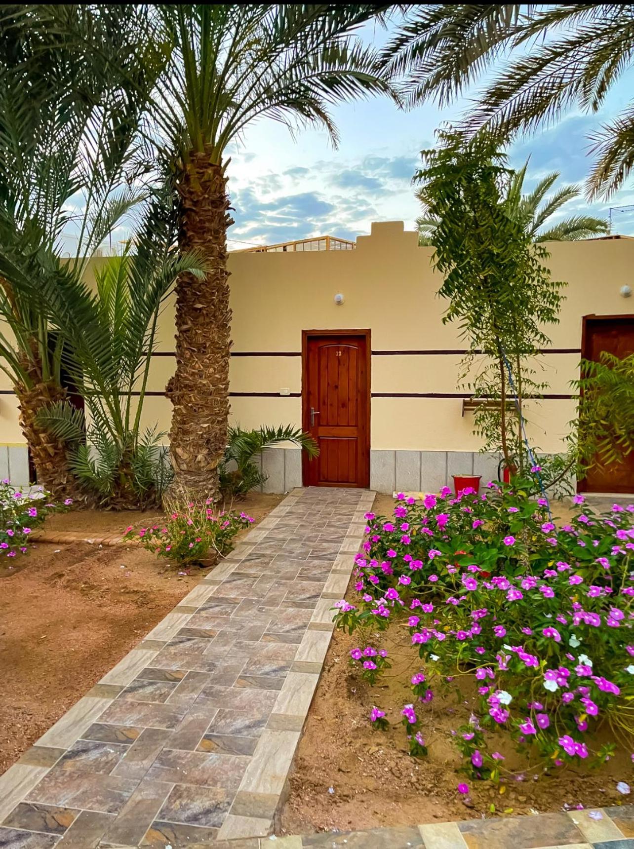 Miramar Camp Dahab Ξενοδοχείο Εξωτερικό φωτογραφία