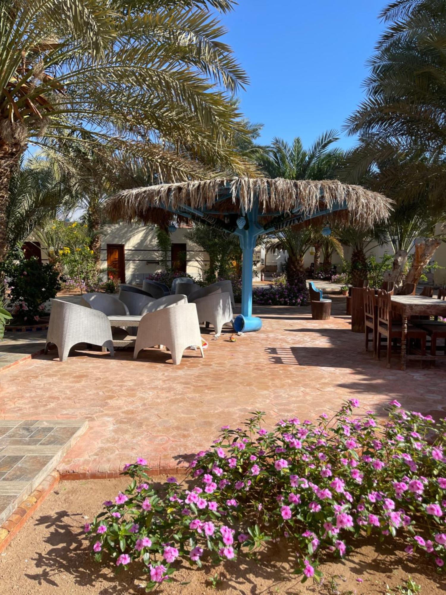 Miramar Camp Dahab Ξενοδοχείο Εξωτερικό φωτογραφία
