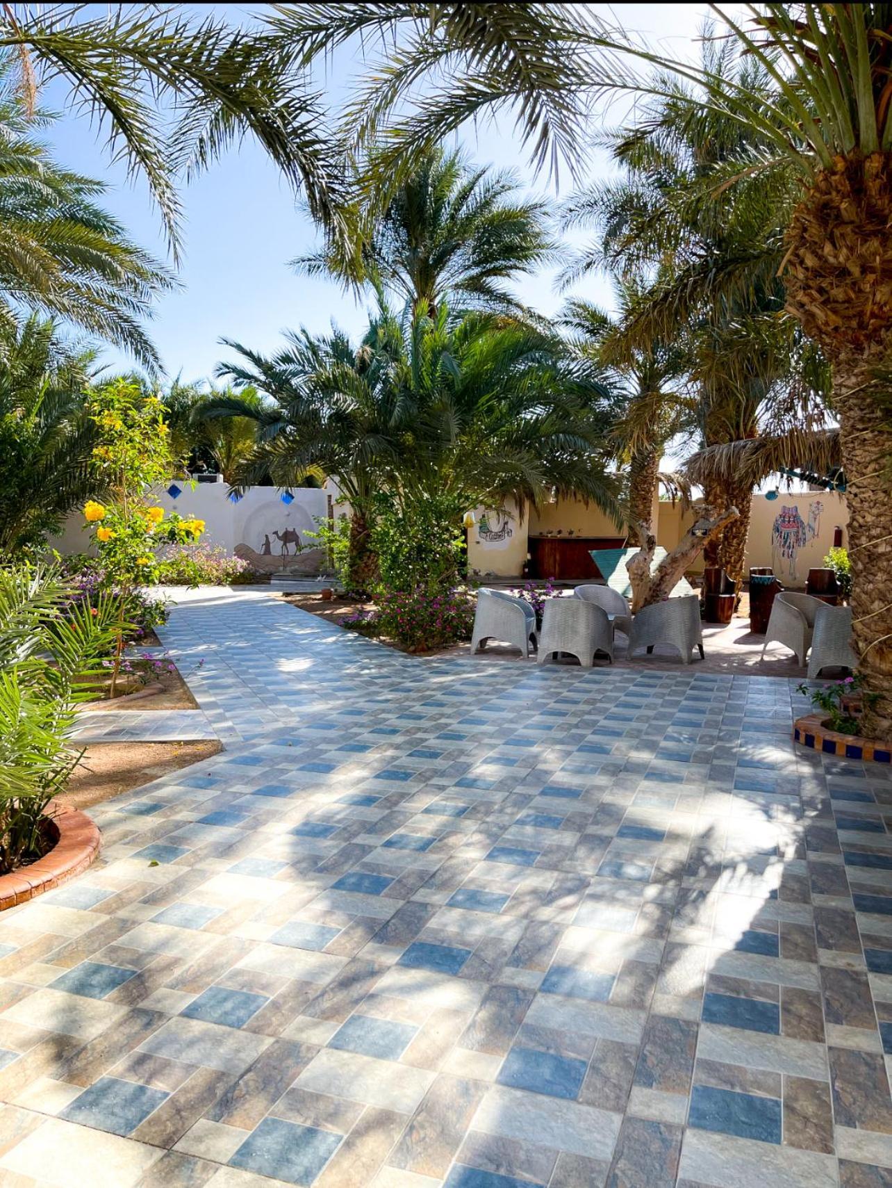 Miramar Camp Dahab Ξενοδοχείο Εξωτερικό φωτογραφία